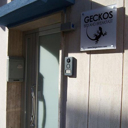 Bed And Breakfast Geckos Brindisi Zewnętrze zdjęcie